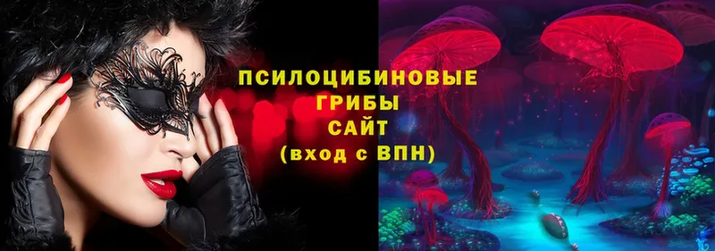 МЕГА рабочий сайт  Норильск  Псилоцибиновые грибы Cubensis  закладки 